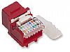 Cat5e Keystone Jacks, Tool-less